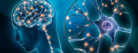 IMMUNE RECONSTITUTION THERAPY FOR MULTIPLE SCLEROSIS